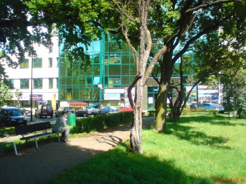 Tomaszów Mazowiecki - park przy ratuszu miejskim- ul.POW