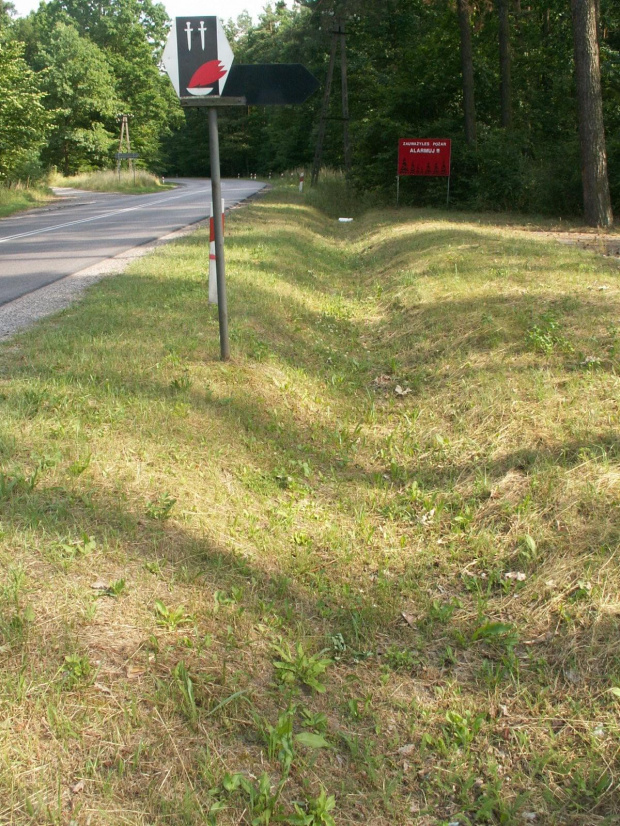 Cipielów 2008