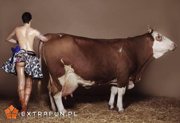www.extrafun.pl #extrafun