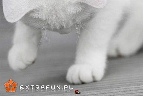 www.extrafun.pl #extrafun