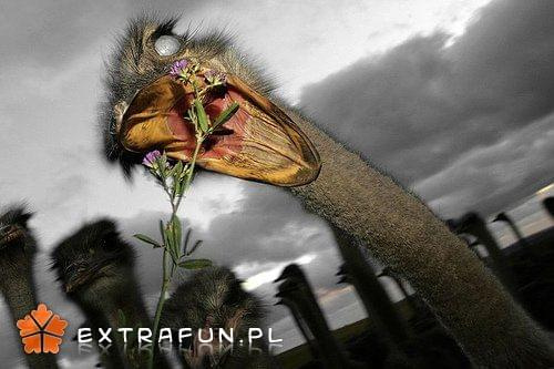 www.extrafun.pl #extrafun