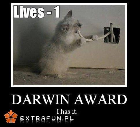 www.extrafun.pl #extrafun