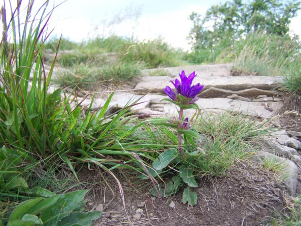 #bieszczady