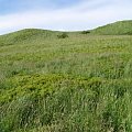 #bieszczady