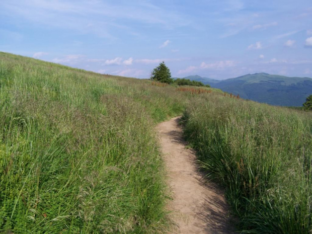 #bieszczady