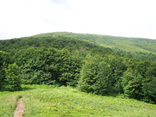 #bieszczady