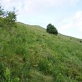 #bieszczady