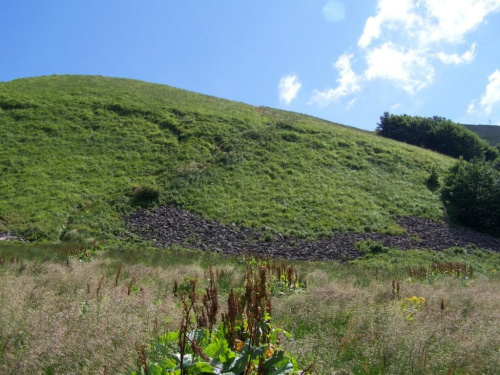 #bieszczady