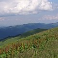 #bieszczady