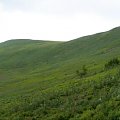 #bieszczady
