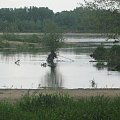 Wisła...