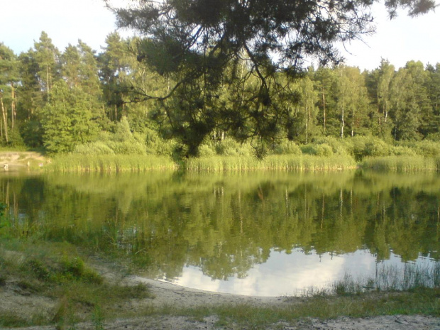 Mały akwen na Kuźniczkach dzielnicy miasta Kędzierzyn Koźle #JezioroKuźniczka