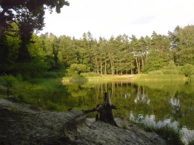 Mały akwen na Kuźniczkach dzielnicy miasta Kędzierzyn Koźle #JezioroKuźniczka