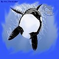 #OrcinusOrca #orca #KillerWhale #miecznik #orka #art #przeróbka #grafika