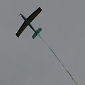 Pershin model RC