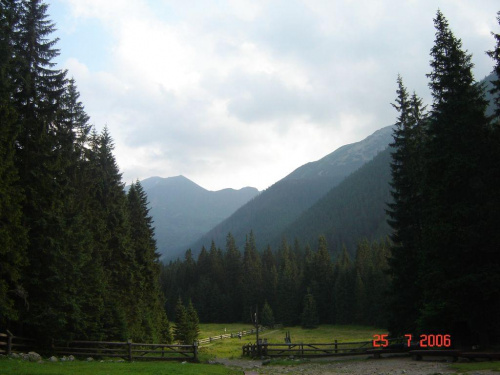 Krajobraz gdzieś w Tatrach #przyroda #Tatry #góry #krajobraz #lato