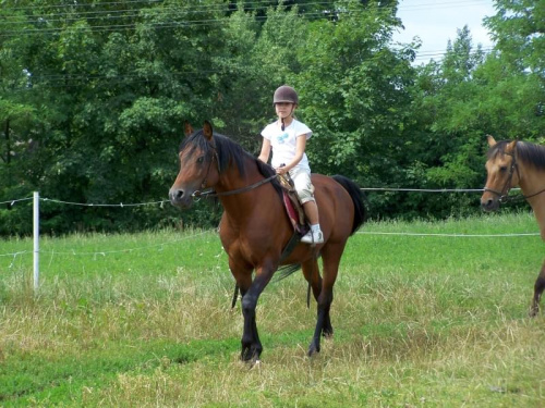 Zarogów 22.07.2008