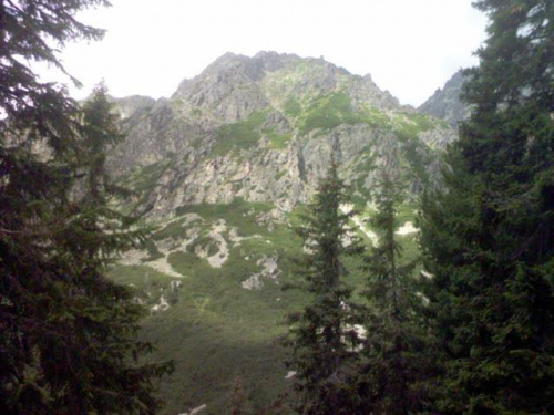 Wejscie na Rysy 2008, #przyroda #góry