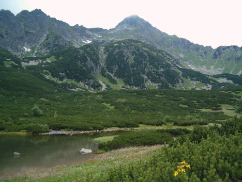 Wielki Biały Staw i Jagnięcy Szczyt #Tatry #góry