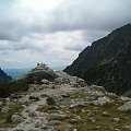 widok ze Zwyżki na Dolinę Mięguszowiecką #Tatry #góry