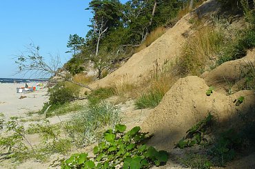 #bałtyk #klif #plaża #krajobraz #wakacje #lato #widoki
