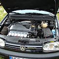 vw mania 2008