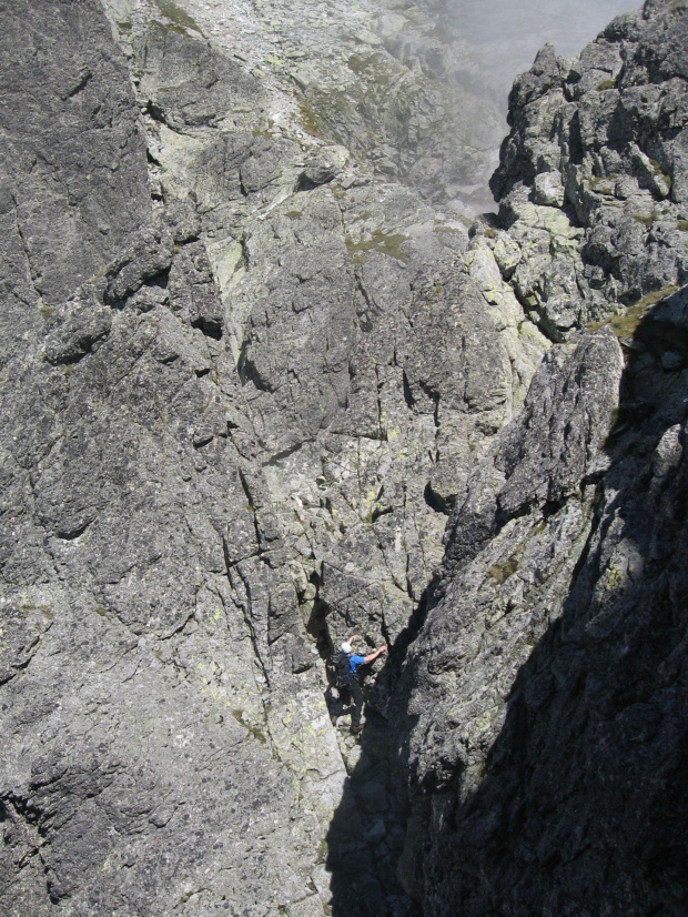 Bradavica, Staroleśny