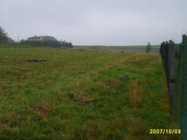 działka