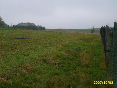działka
