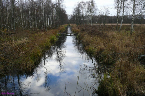 Snopkowska Struga #SnopkowskaStruga #Karwik #mazury