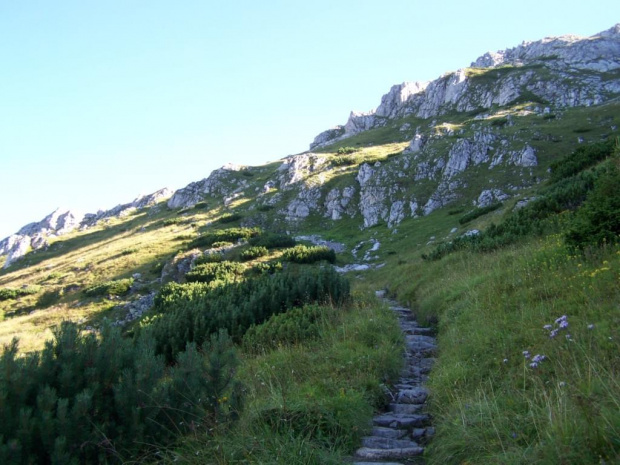 #tatry #SchroniskoOrnak #ChudaPrzełecz