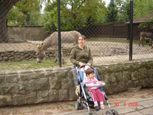 ZOO