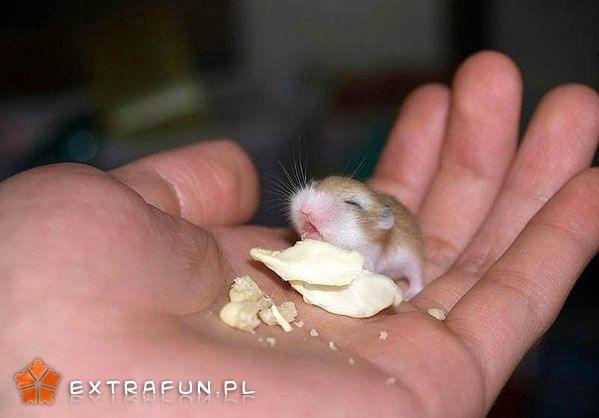 www.extrafun.pl #extrafun