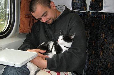 Gwizdek podróżnik #Gwizdek