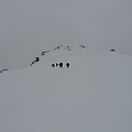 W drodze na Bishorn. Wejście należy do najłatwiejszych wśród alpejskich czterotysięczników, ale warunki pogodowe sprawiły, że zrobiło dość extramalnie ;) #wakacje #góry #Alpy #lodowiec #treking #Szwajcaria #Bishorn