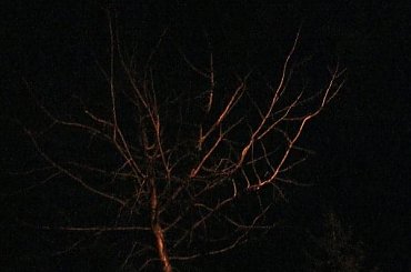 #Morzewiec #ZdjęciaNocne