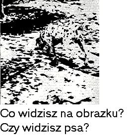 złudzenia