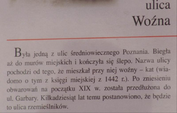 Praktyki terenowe "Wielkopolska 2008" - Poznań
