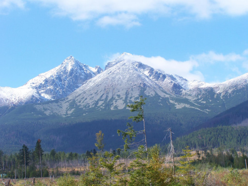 Lomnicki Stit, Skalnate Pleso