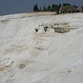 Pamukkale - tarasy wapienne