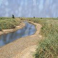 rzeka Meander - dzisiejsze koryto... To ta rzeka tak zamuliła port w Priene, że dzisiaj do morza jest stąd kilka kilimetrów. W międzyczasie rzeka zdążyła zmienić koryto i obecnie nie przepływa już przez starożytne Priene...