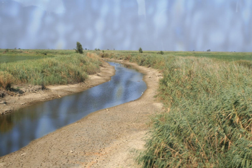 rzeka Meander - dzisiejsze koryto... To ta rzeka tak zamuliła port w Priene, że dzisiaj do morza jest stąd kilka kilimetrów. W międzyczasie rzeka zdążyła zmienić koryto i obecnie nie przepływa już przez starożytne Priene...