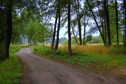 Droga do wsi Ciosny