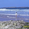 Portrush Irlandia Północna #Przyroda