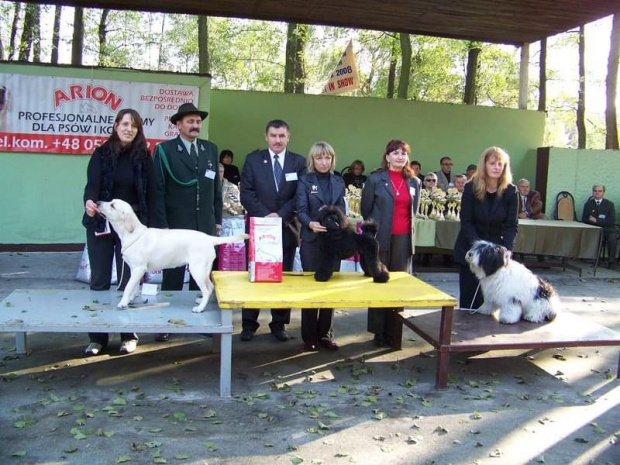 Rybnik - pierwsza w swojej klasie,druga ogólnie :-)