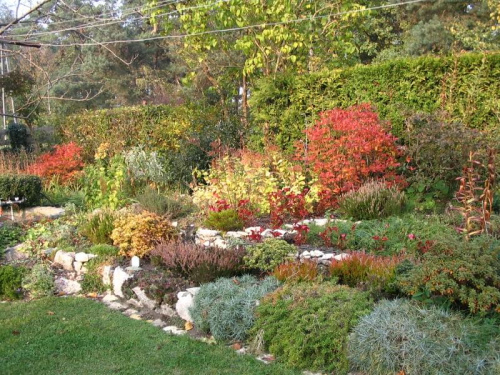 2008, jesień, ogród, kwiaty #jesień #ogród #kwiaty