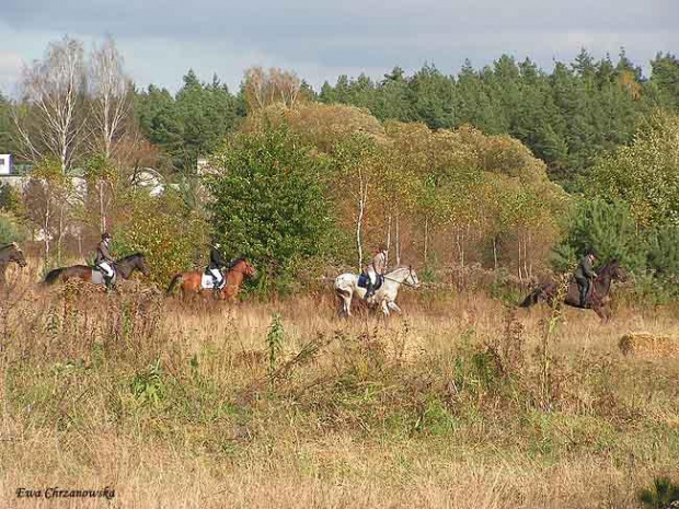 2008.10.18 Hubertus I