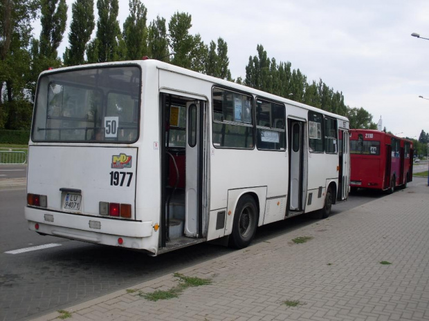 ikarus 260