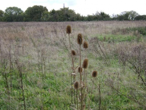 Swindon, październik 2008