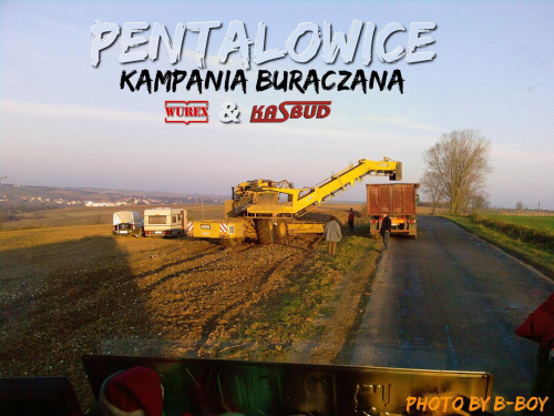 Kampania PENTALOWICE www.MBS.webd.pl